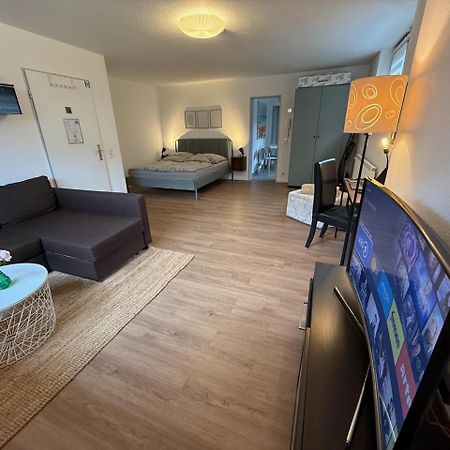 Apartment Regener Лёррах Экстерьер фото