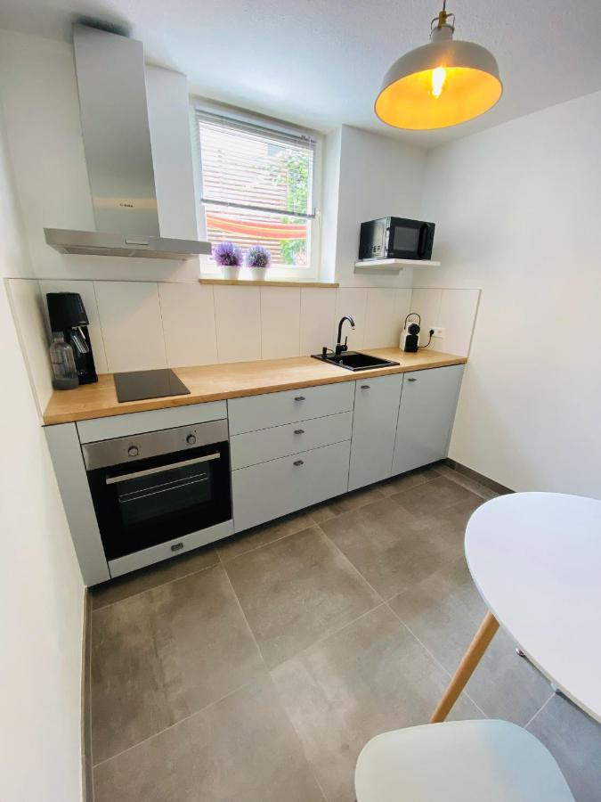 Apartment Regener Лёррах Экстерьер фото