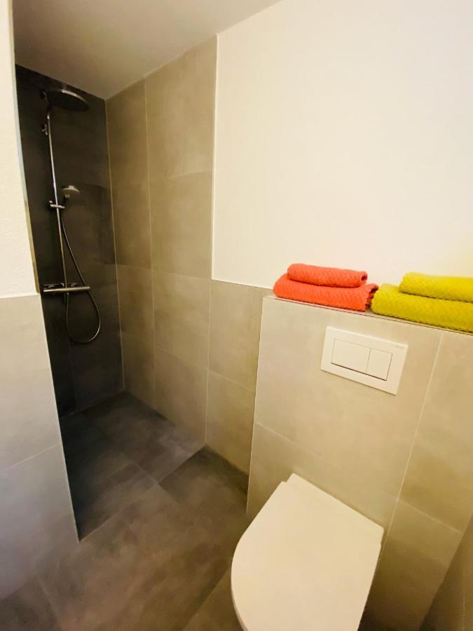 Apartment Regener Лёррах Экстерьер фото