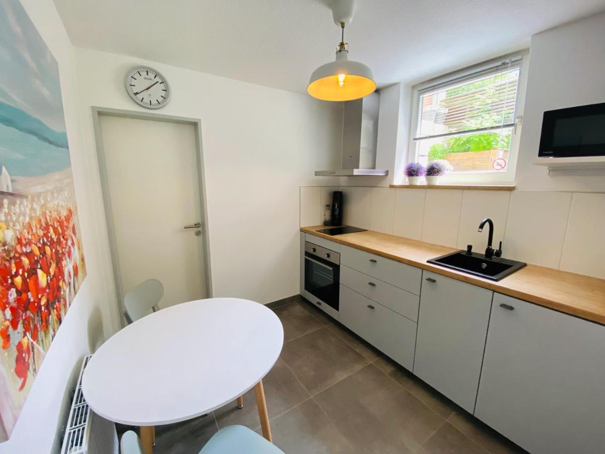 Apartment Regener Лёррах Экстерьер фото
