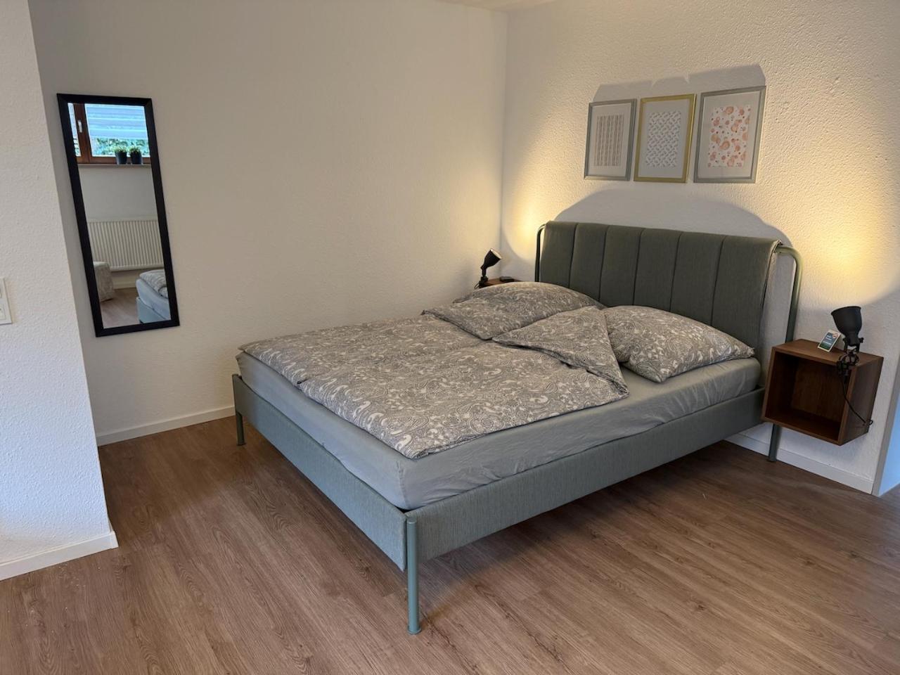 Apartment Regener Лёррах Экстерьер фото