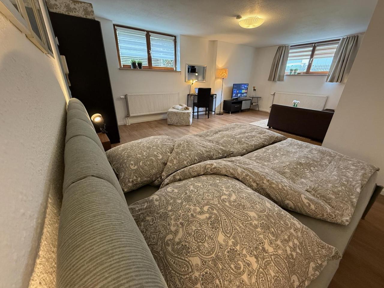 Apartment Regener Лёррах Экстерьер фото